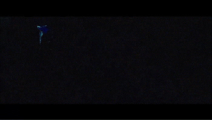 a2.gif