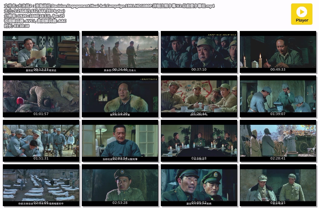 大决战2：淮海战役.Decisive.Engagement.Huai-hai.Campaign.1991.HD1080P.详细注释字.jpg