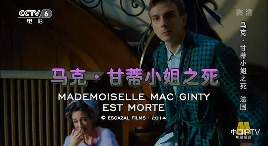 p2537768940.webp.png