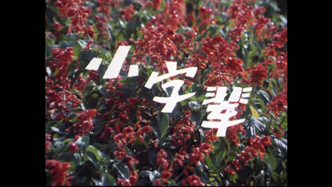 小字辈.mp4_20241012_155757.294.jpg