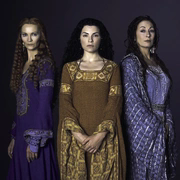 p2891569843.webp.png