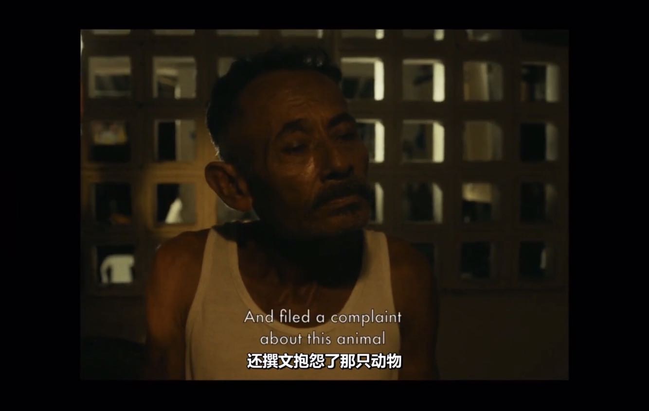 E0C8F064-FDD3-4162-BD82-58EE67C68D99.jpeg