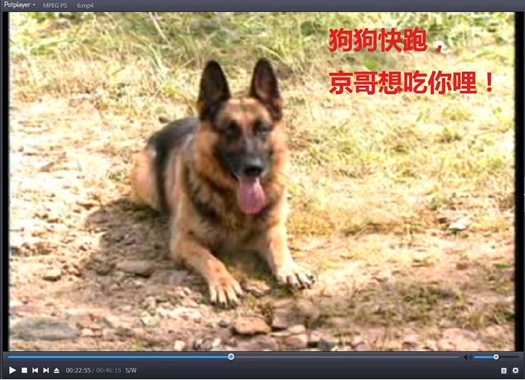 新少林寺视频截图005.jpg