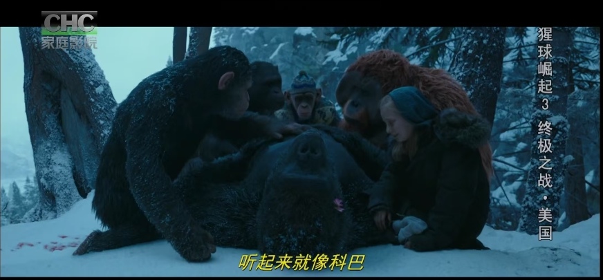 Screenshot_20241218_162515_com.tencent.mm_edit_26927100121931.jpg