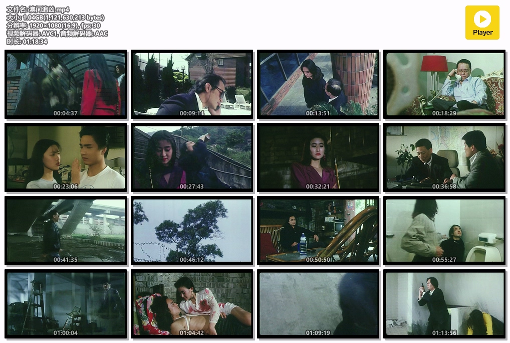 澳门追凶.mp4.jpg