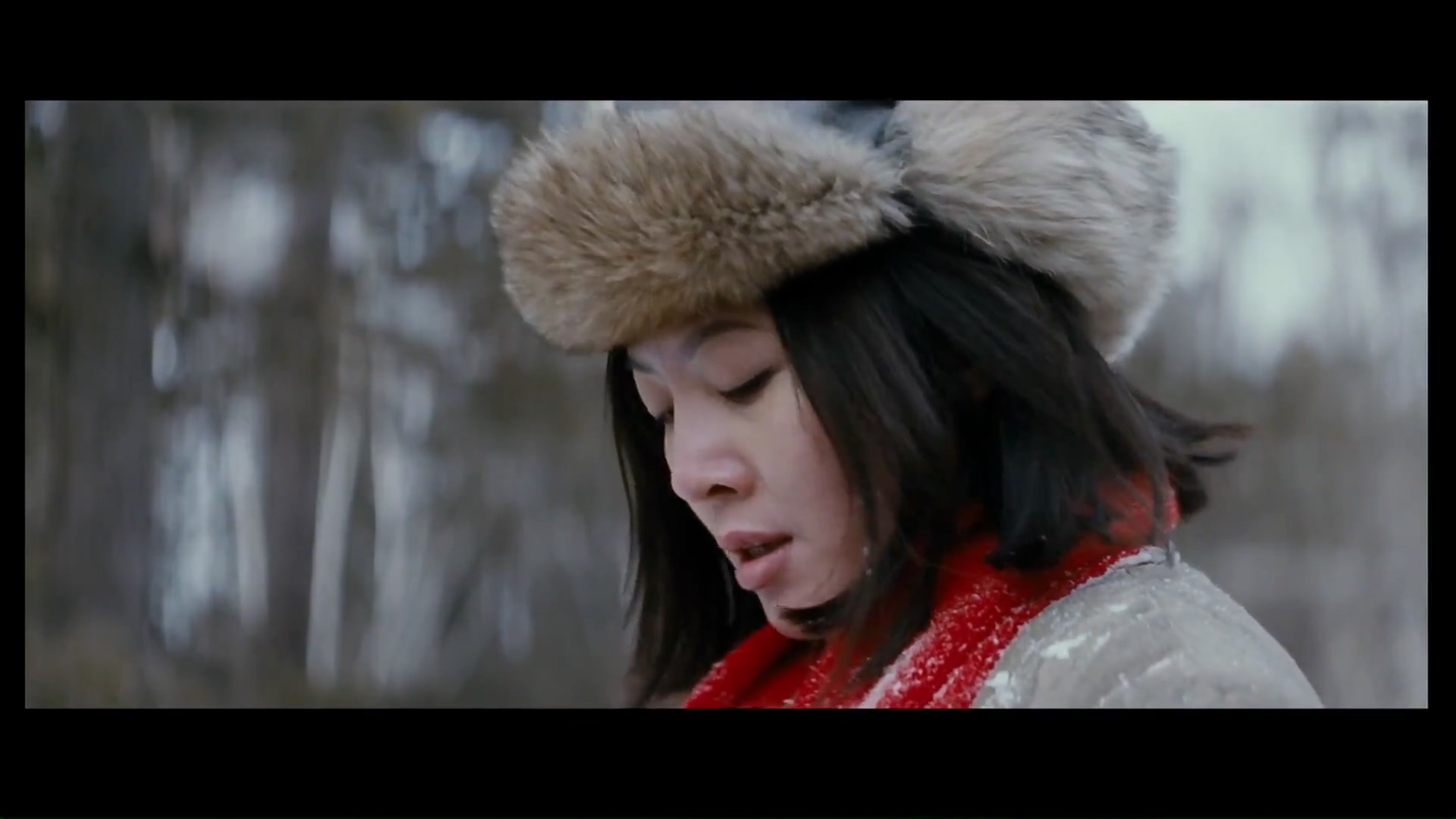 白山黑水.mkv_20250204_154459.305.jpg