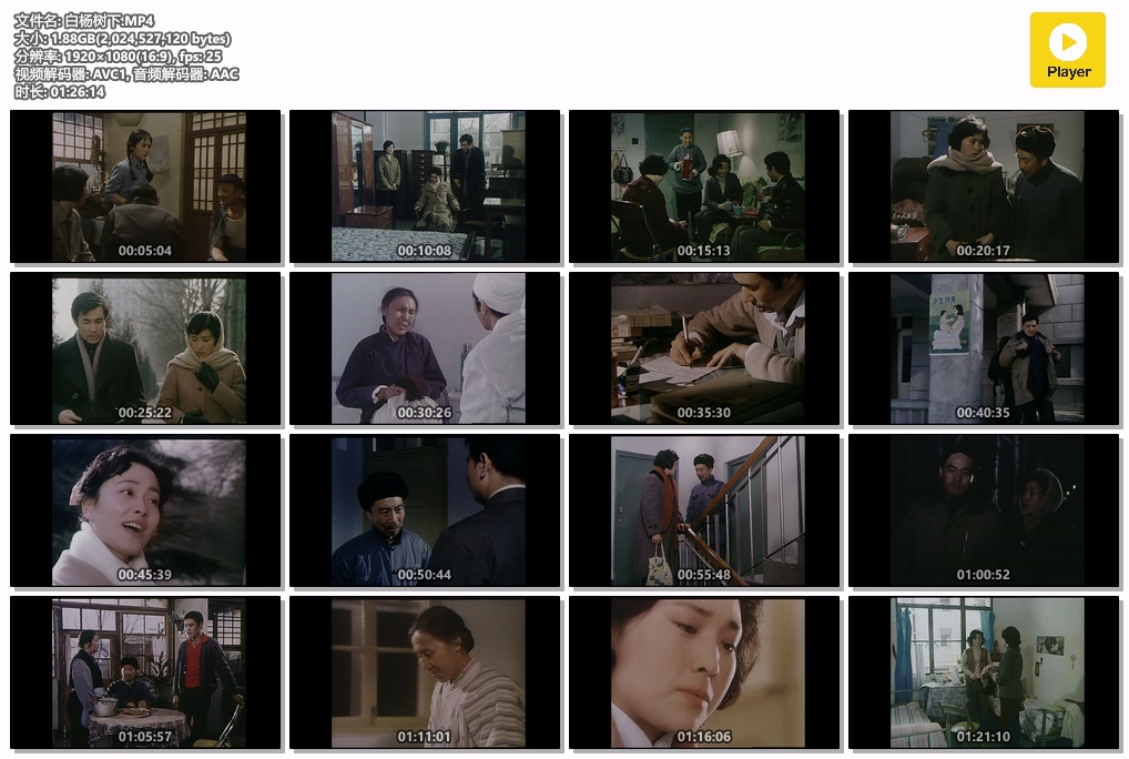 白杨树下.MP4.jpg