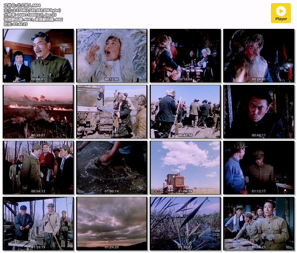 北大荒人.MP4.jpg