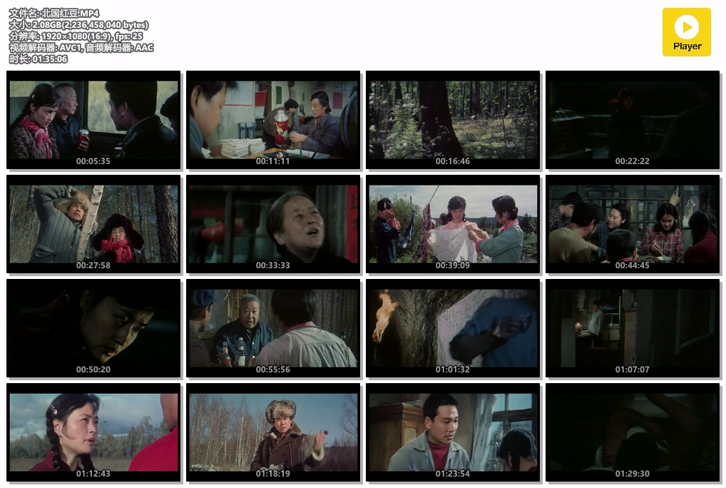 北国红豆.MP4.jpg