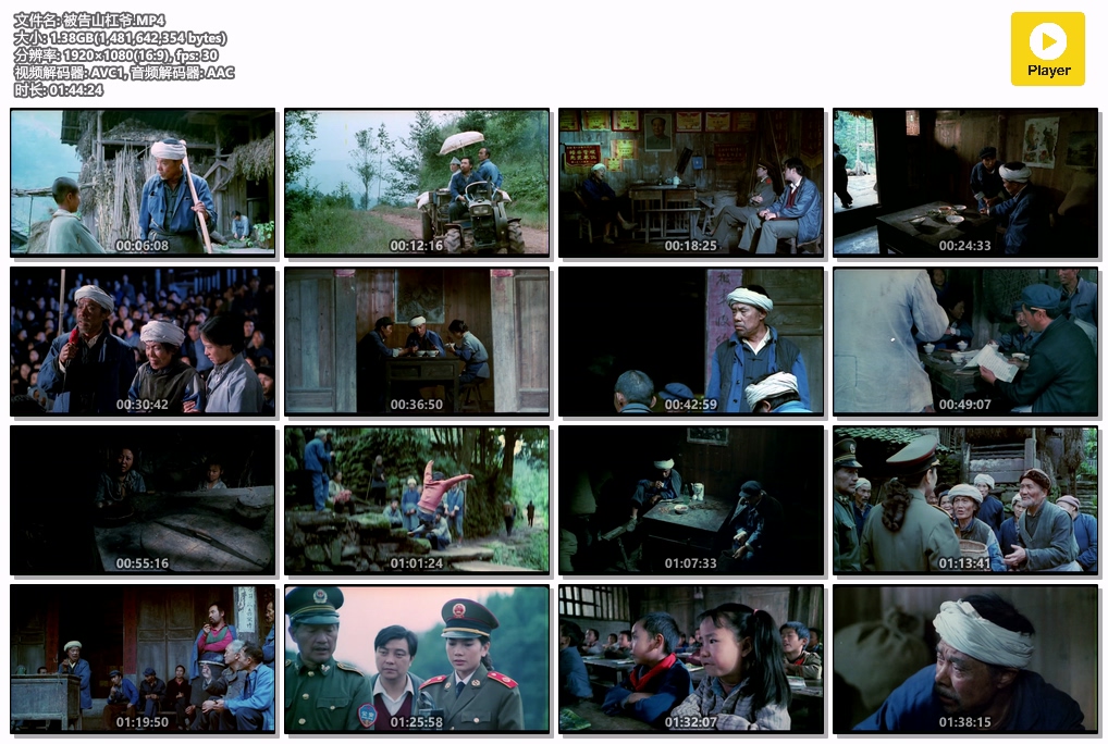 被告山杠爷.MP4.jpg