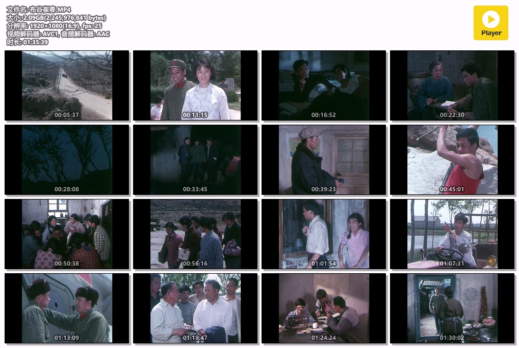 布谷崔春.MP4.jpg