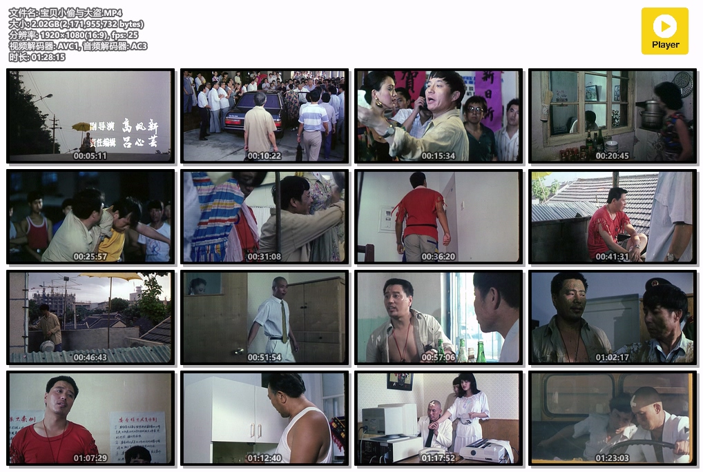 宝贝小偷与大盗.MP4.jpg