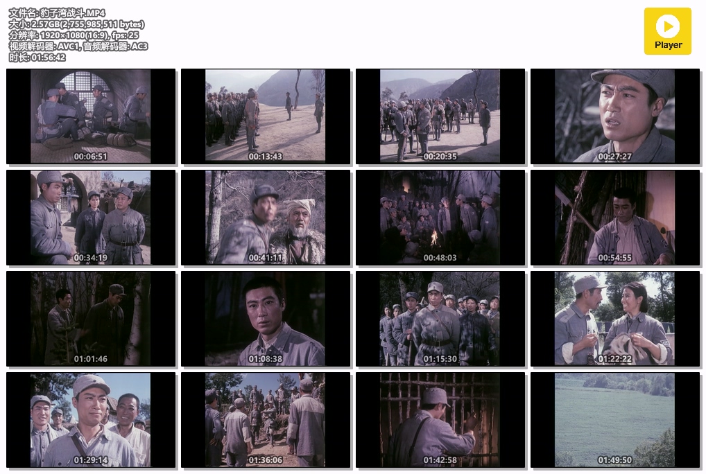 豹子湾战斗.MP4.jpg