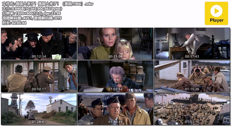 俄国人来了！俄国人来了！（美国.1966）.mkv.jpg