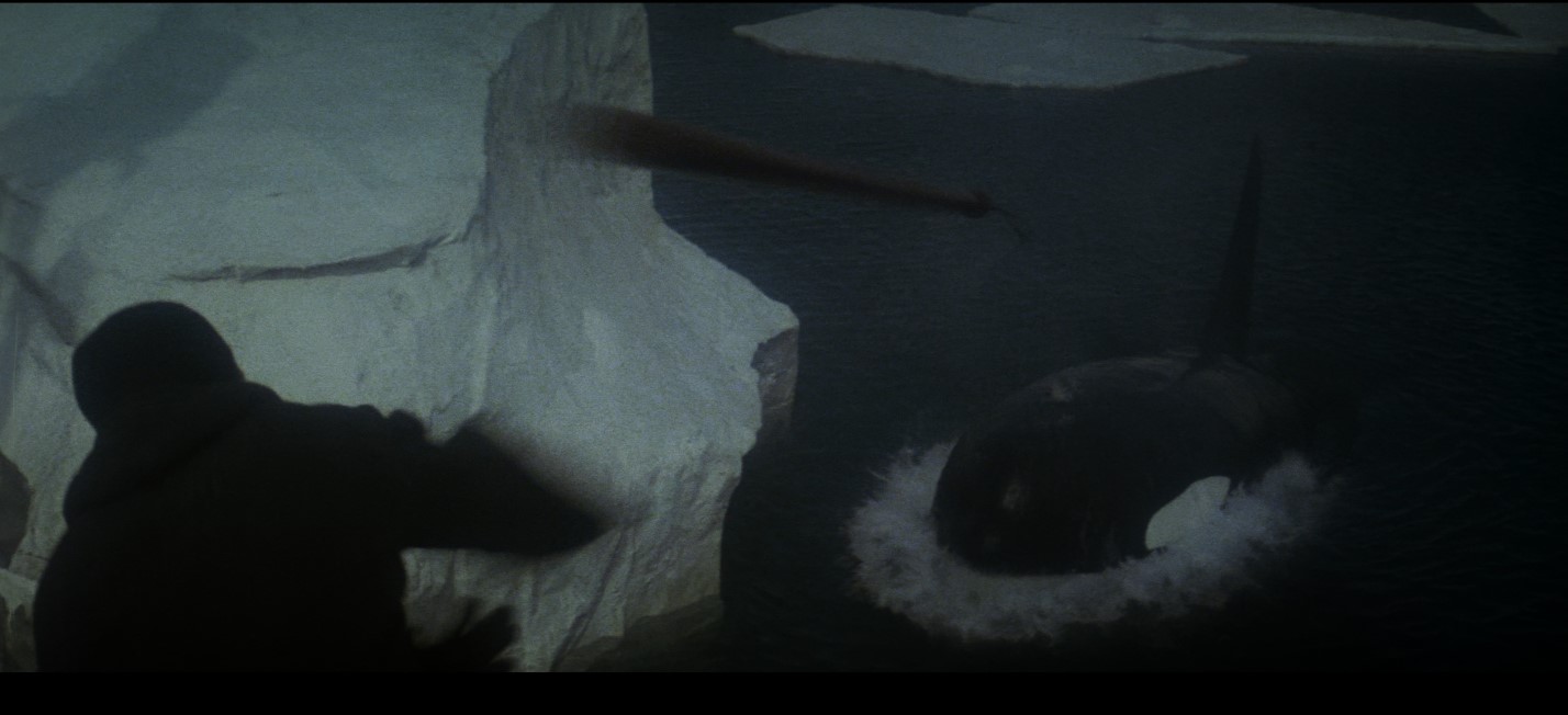 屏幕截图 2025-02-11 141519.jpg