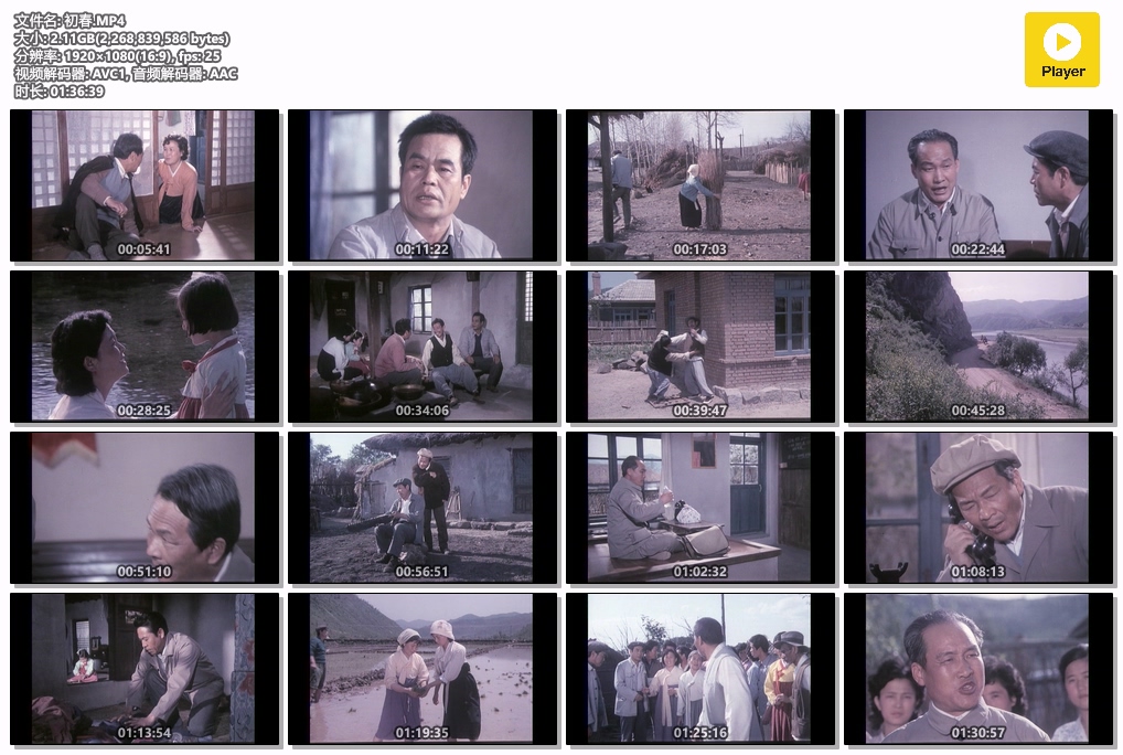 初春.MP4.jpg