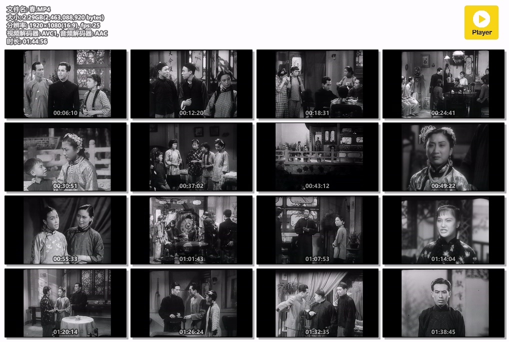 春.MP4.jpg 春.MP4.jpg