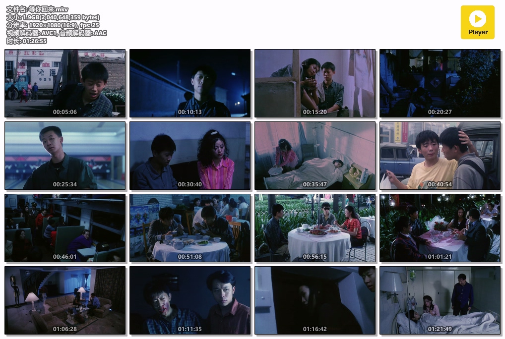 等你回来.mkv.jpg