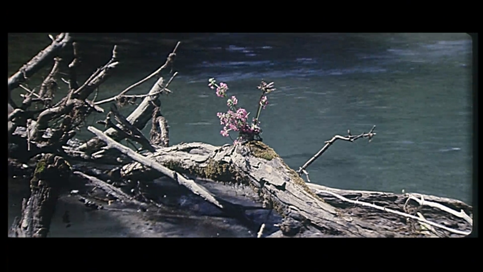 独龙纹面女.MP4_20250304_115033.284.jpg