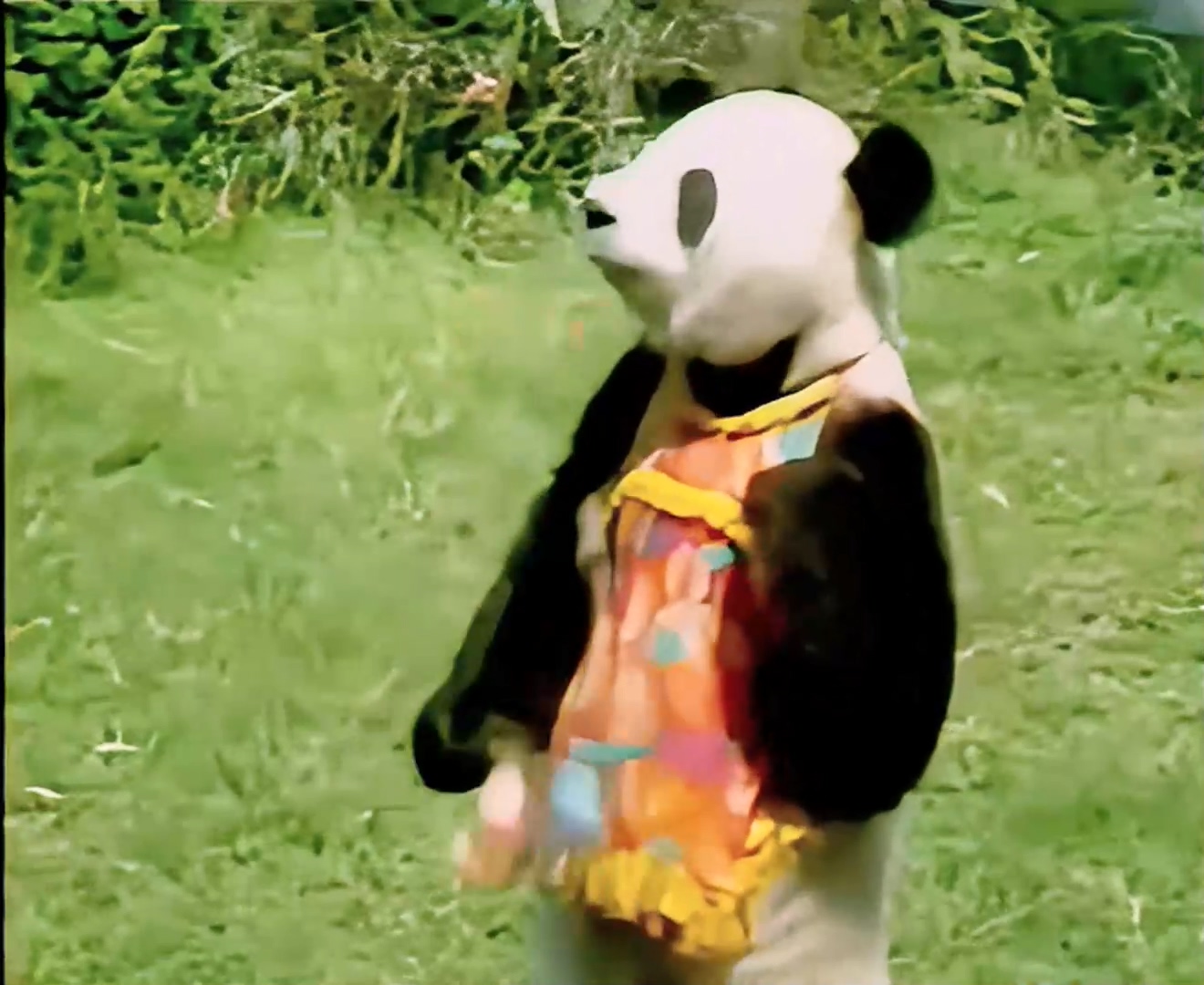 《动物王国窃案》02-猴贼落网.mp4_20250304_215413.485.jpg 《动物王国窃案》02-猴贼落网.mp4_20250304_215413.485.jpg