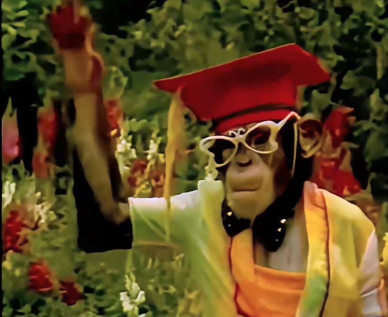 《动物王国窃案》02-猴贼落网.mp4_20250304_215420.166.jpg 《动物王国窃案》02-猴贼落网.mp4_20250304_215420.166.jpg