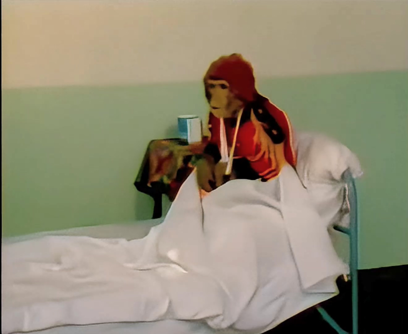 《动物王国窃案》02-猴贼落网.mp4_20250304_215455.223.jpg 《动物王国窃案》02-猴贼落网.mp4_20250304_215455.223.jpg