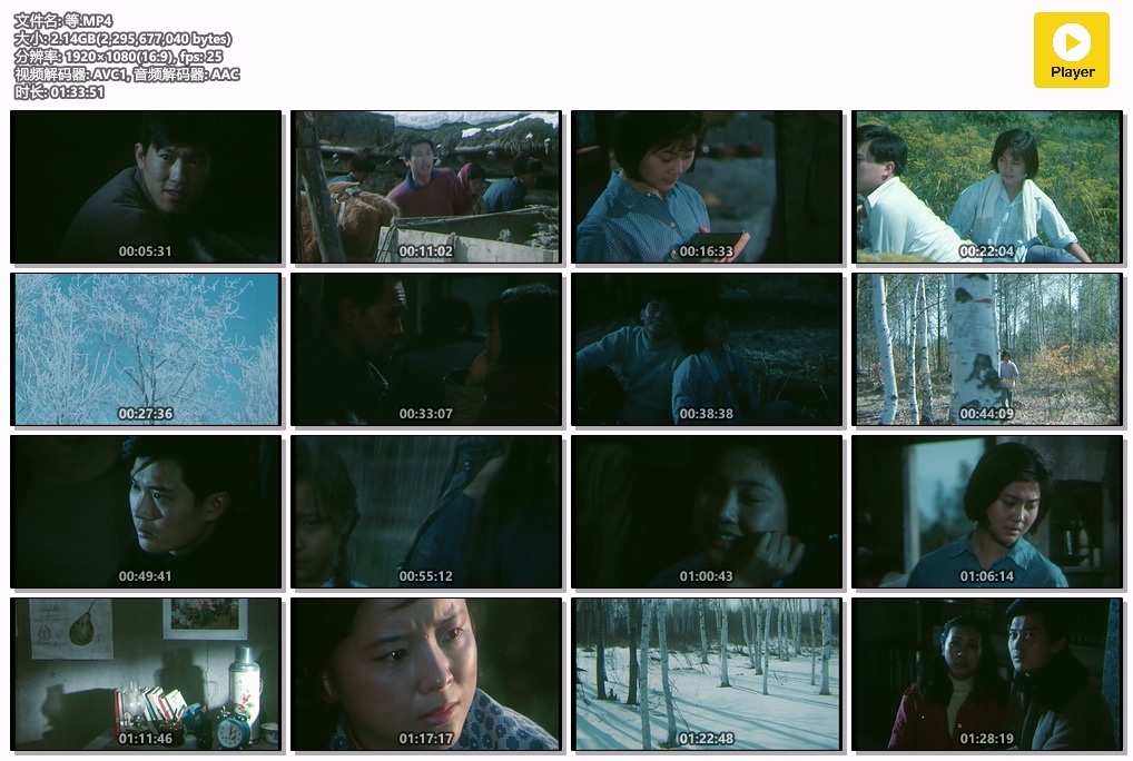 等.MP4.jpg