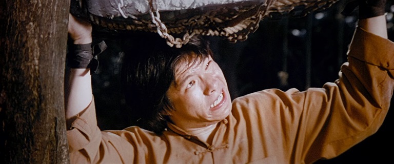 tdcq1.jpg