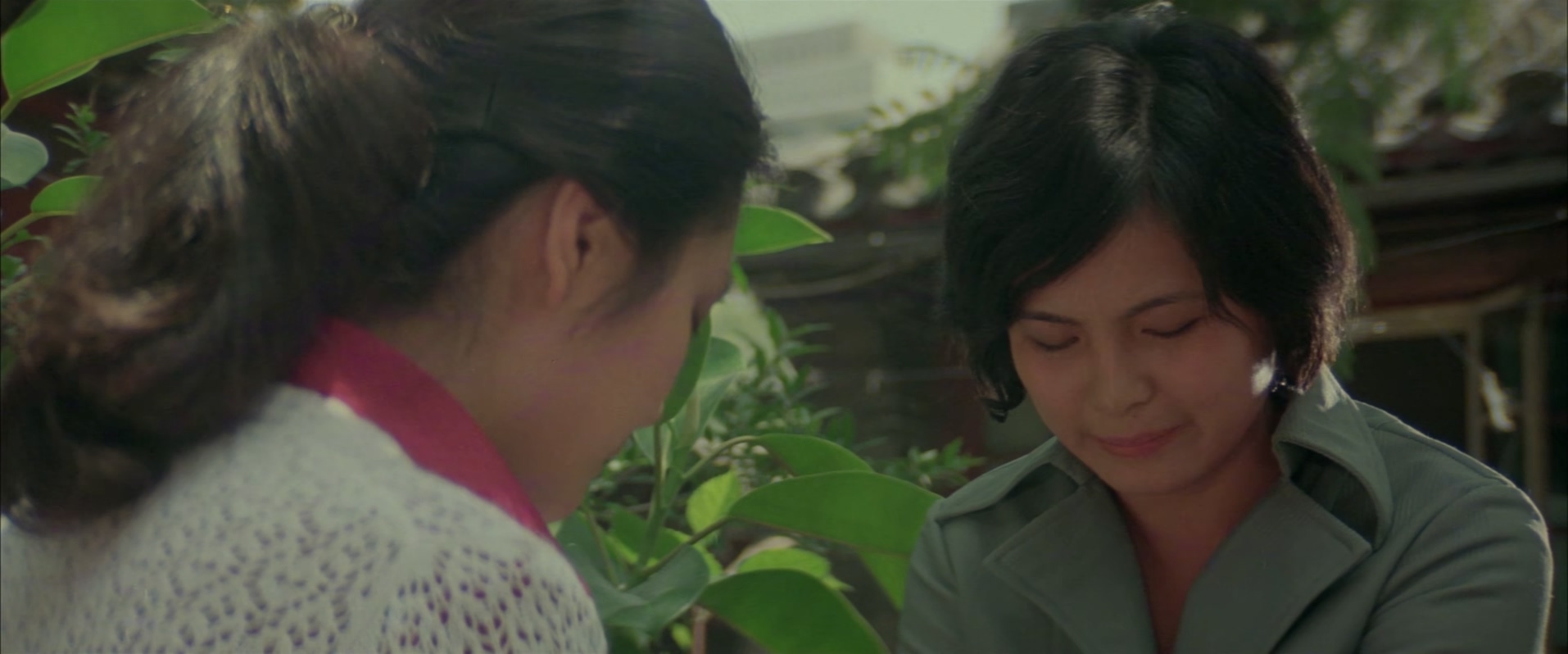 锅碗瓢盆交响曲.mkv_20250311_121425.306.jpg