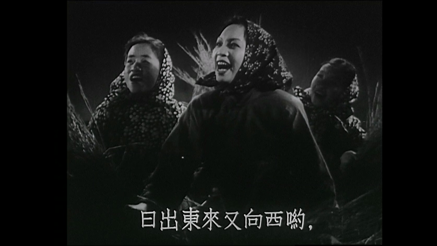 关不住的春光.MP4_20250312_121459.726.jpg