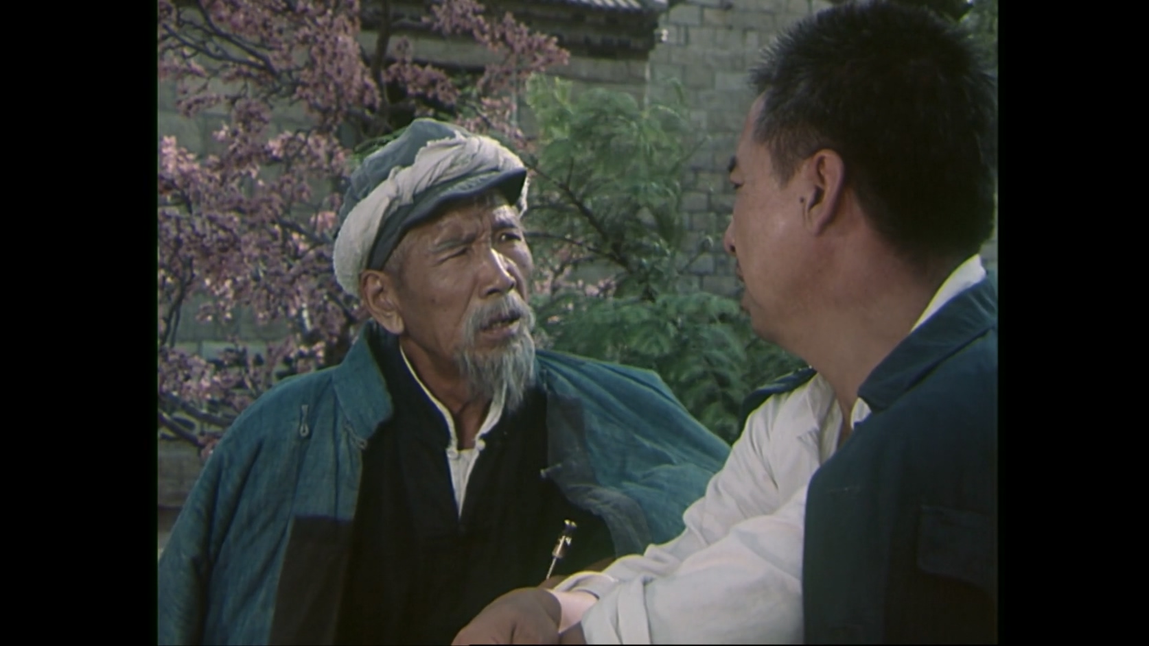花开花落.MP4_20250317_114605.407.jpg