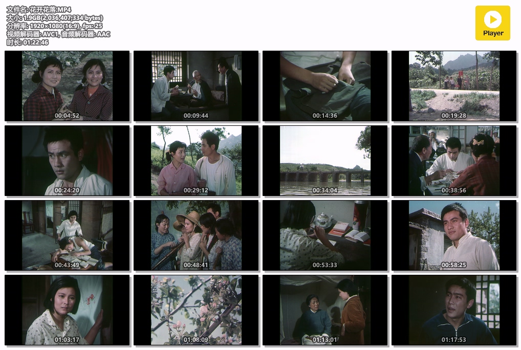 花开花落.MP4.jpg