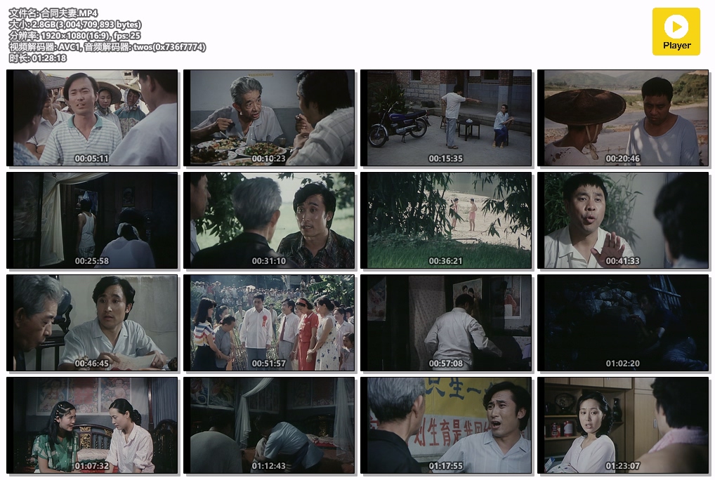 合同夫妻.MP4.jpg