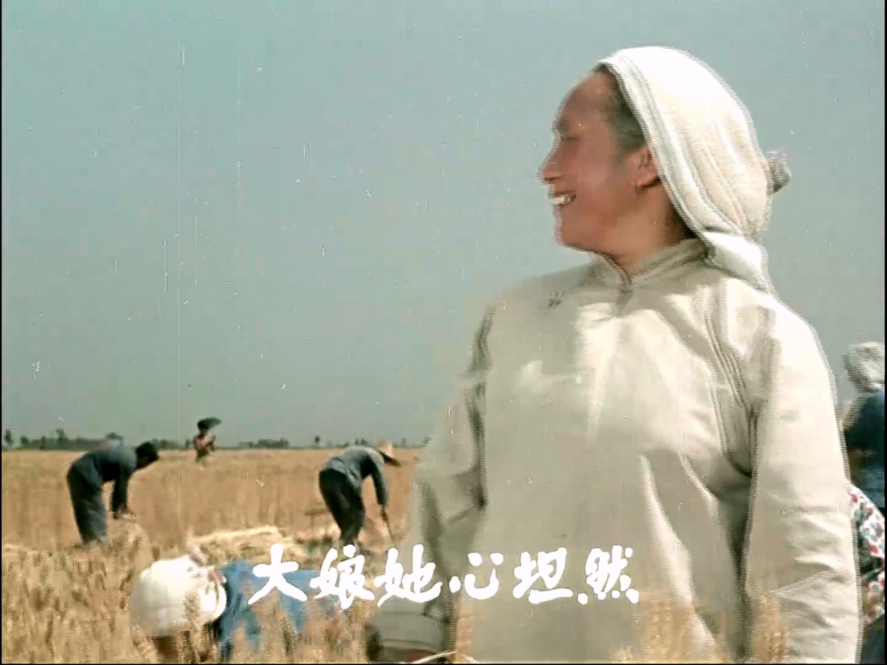 槐树庄.MP4_20250322_121442.867.jpg
