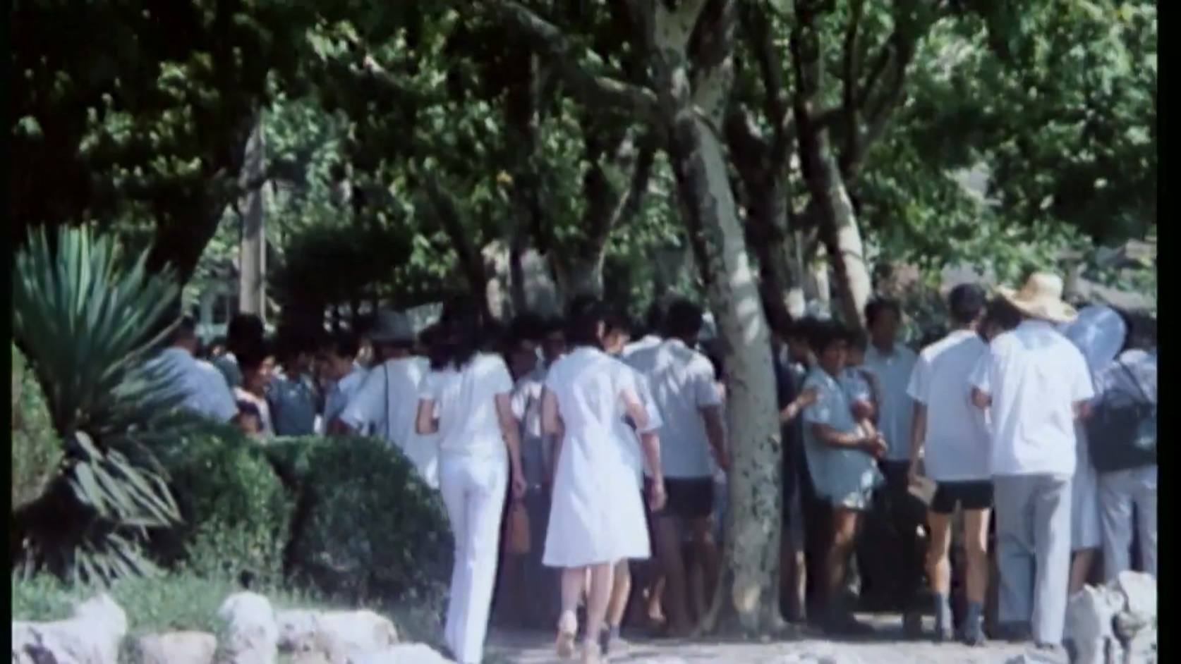 街上流行红裙子.mkv_20250325_112244.420.jpg