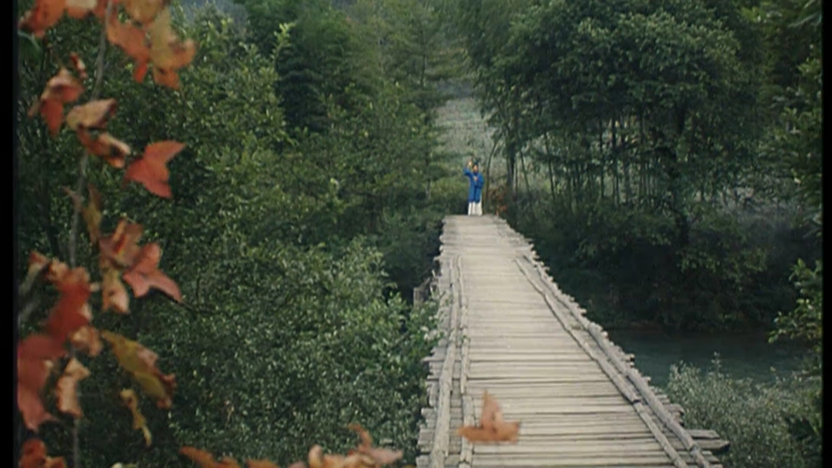金鸳鸯.mkv_20250326_115358.816.jpg