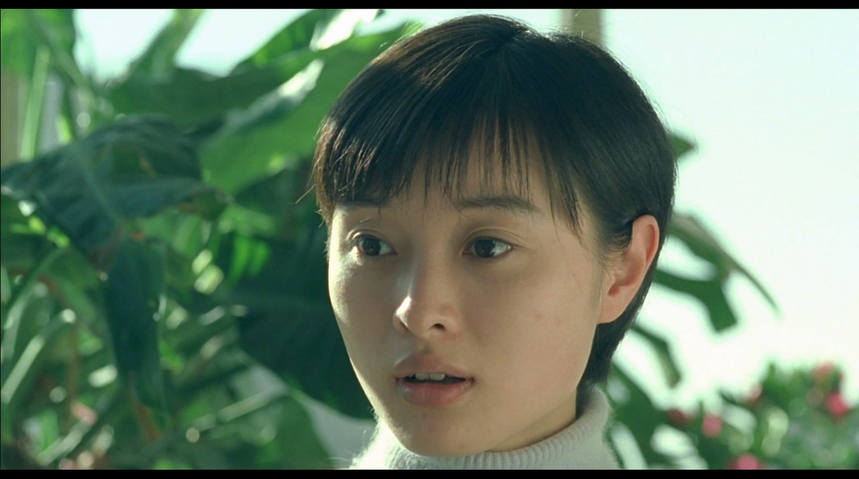 菊花茶.mkv_20250327_121938.213.jpg