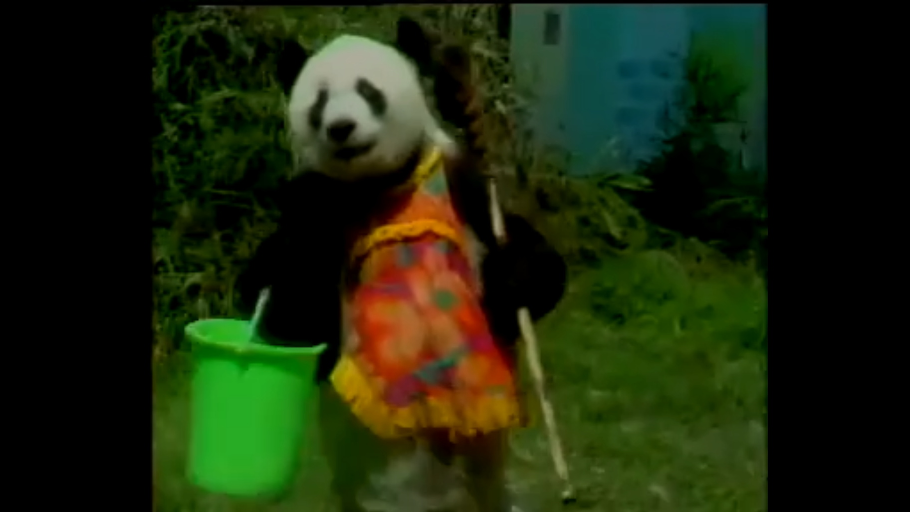 微信图片_20250329110837_看图王.jpg
