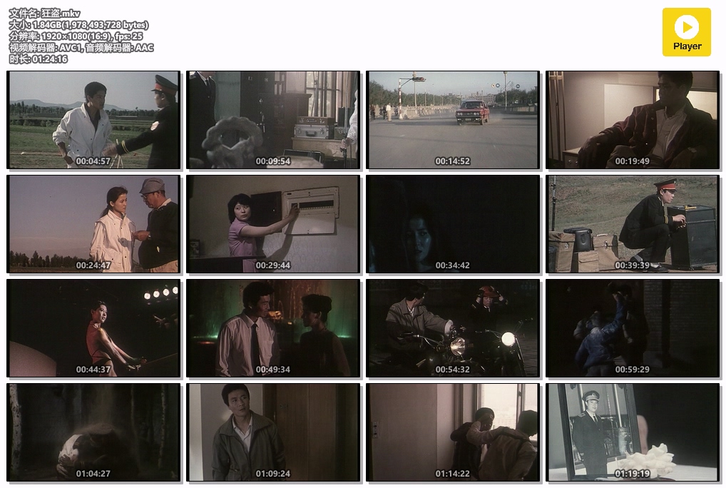 狂盗.mkv.jpg