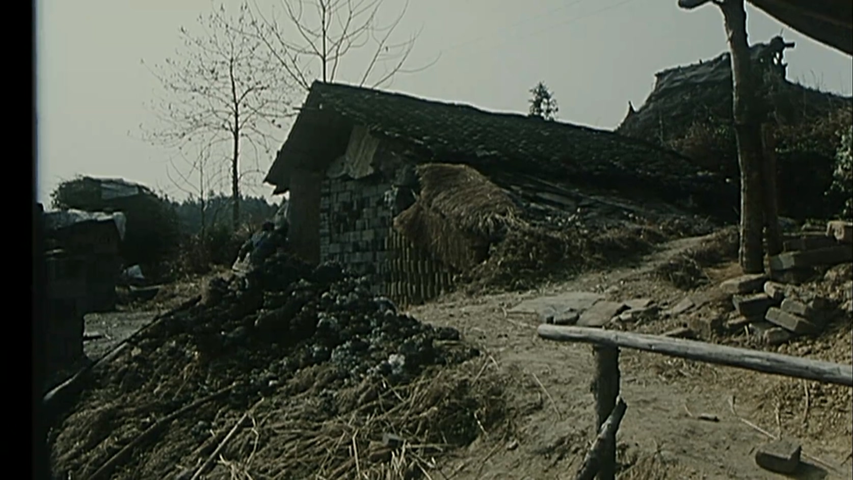 两个孩子和狗.MP4_20250408_105533.806.jpg