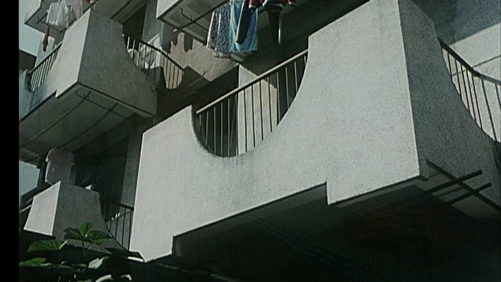 两个孩子和狗.MP4_20250408_105511.598.jpg
