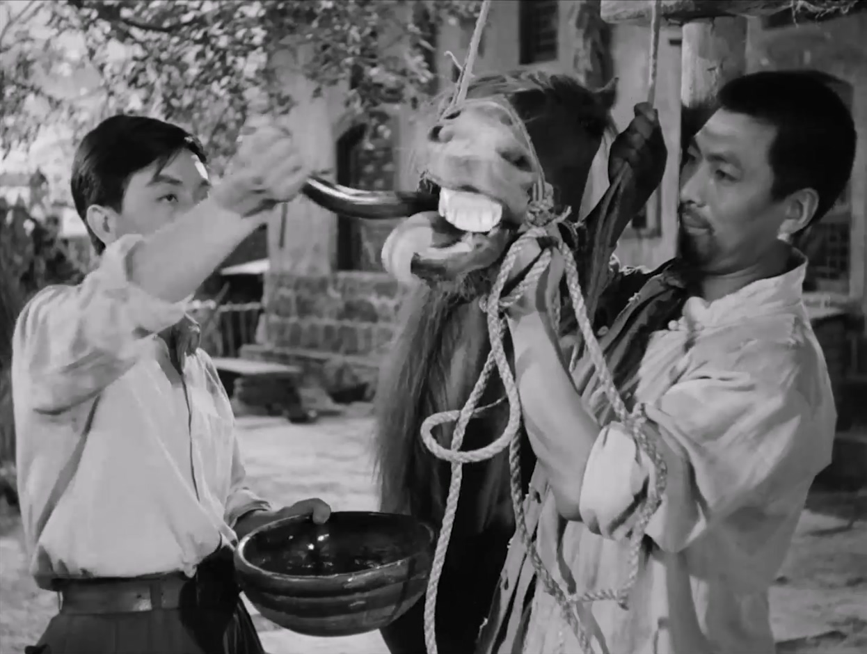龙马精神.mkv_20250409_102750.000.jpg