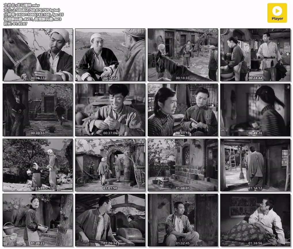 龙马精神.mkv.jpg