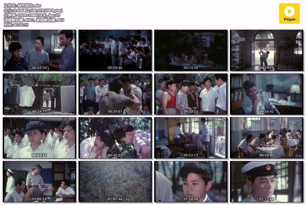 绿色钱包.mkv.jpg