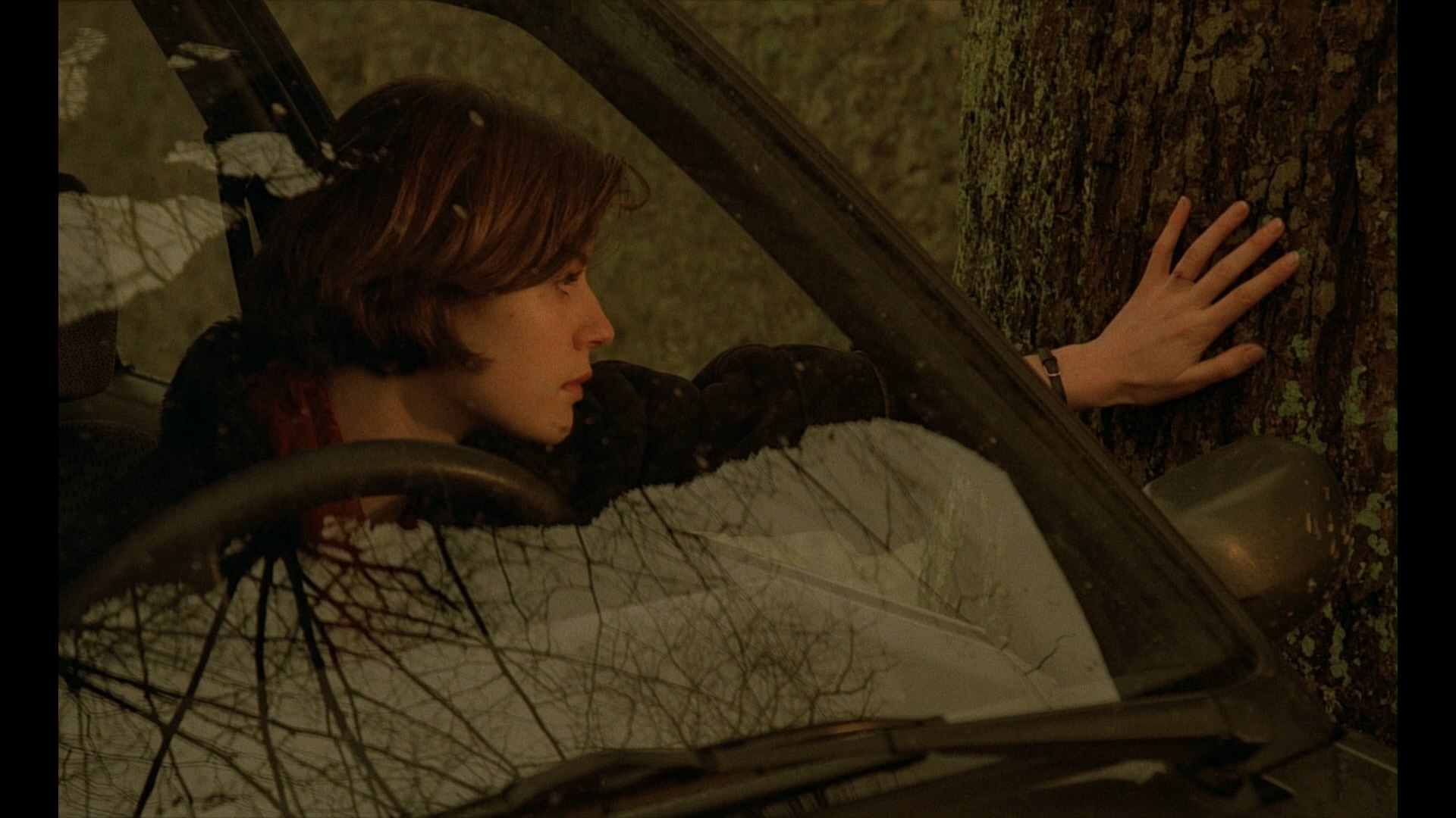 The.Double.Life.of.Veronique.1991.CC.1080p.BluRay.Remux.AVC.DTS-HD.MA.2.0-QuickI.jpg