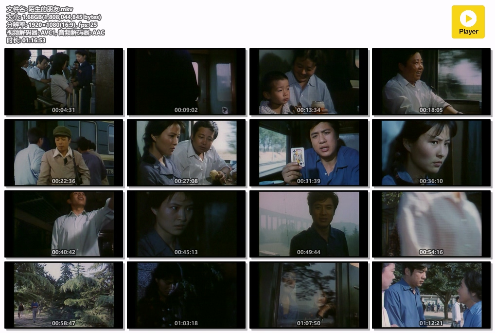 陌生的朋友.mkv.jpg
