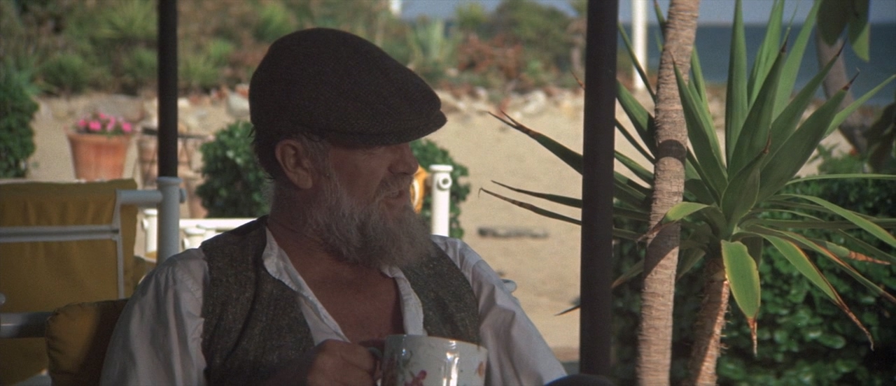 The.Long.Goodbye.1973.720p.BluRay.X264-AMIABLE.mkv_20250413_162150.399.jpg