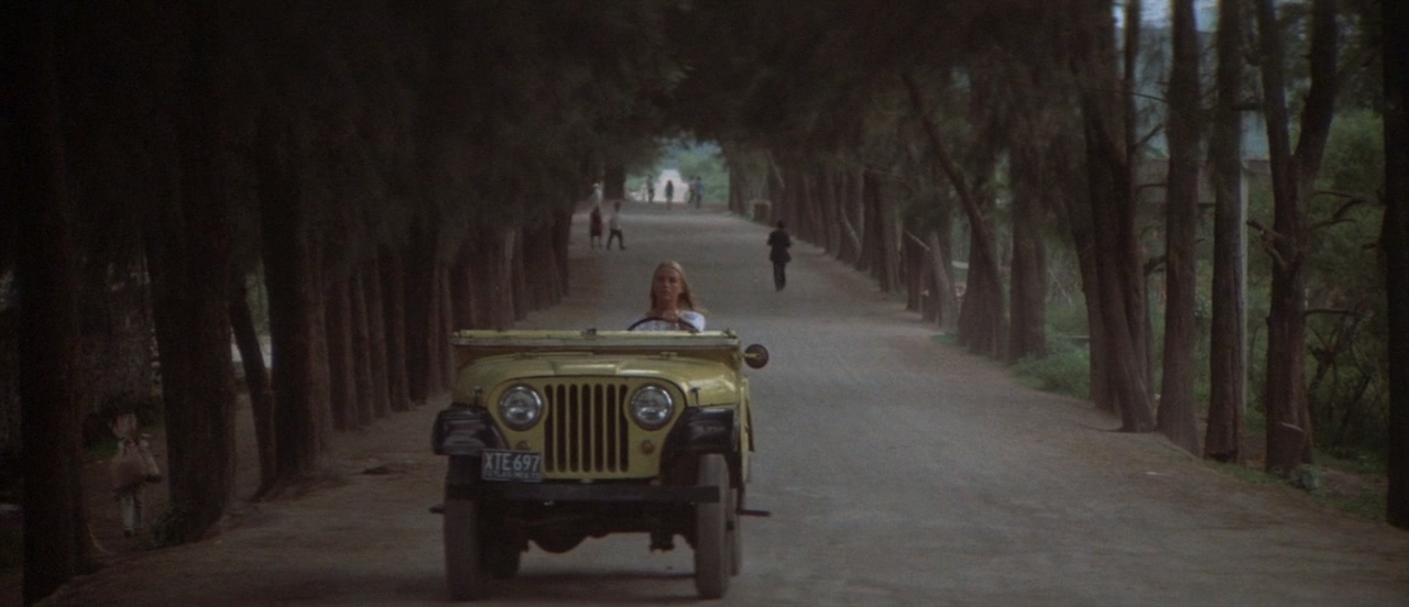 The.Long.Goodbye.1973.720p.BluRay.X264-AMIABLE.mkv_20250413_162546.967.jpg