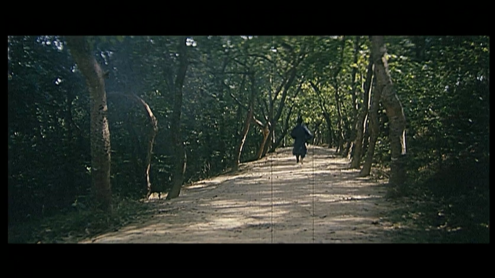 南岭传奇.MP4_20250419_120012.666.jpg
