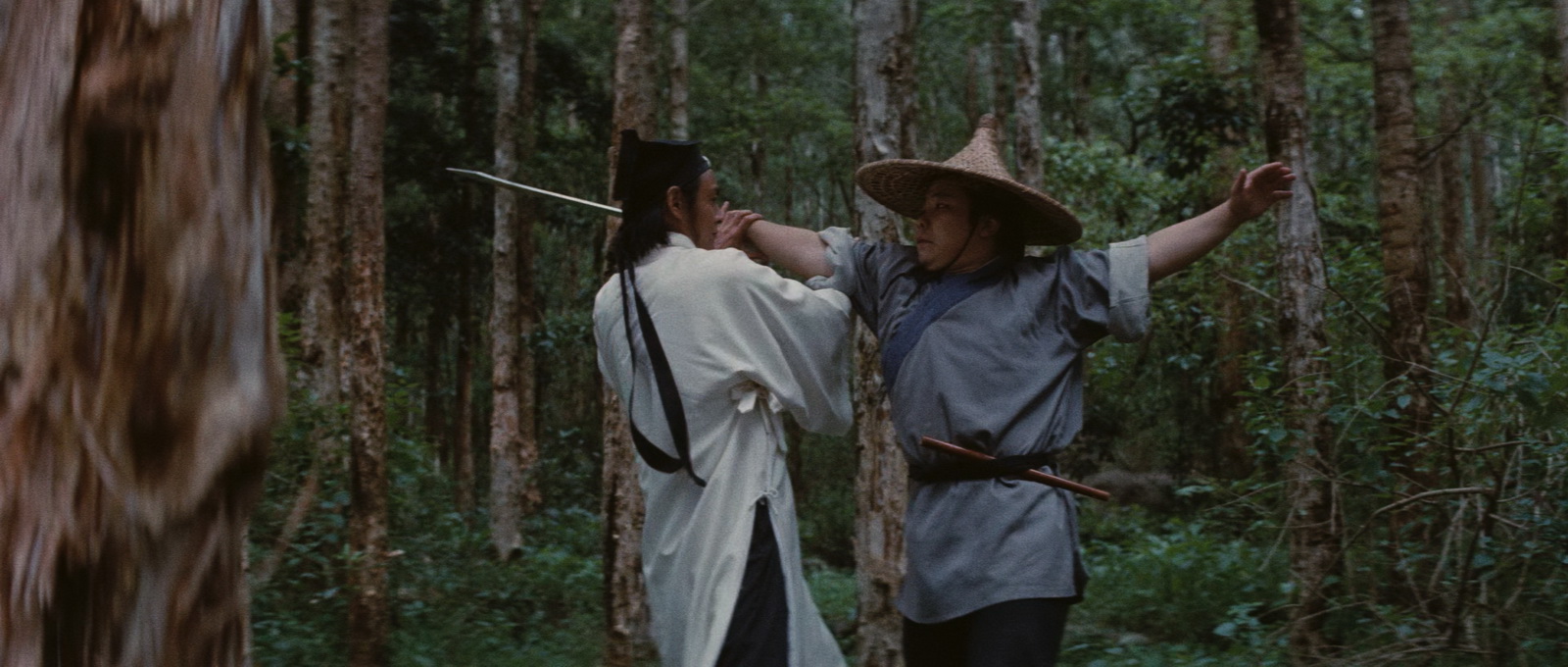 The.Valiant.Ones.1975.2160p.UHD.BluRay.x265.10bit.DD1.0-ParkHD.mkv_20250420_180259.267.jpg